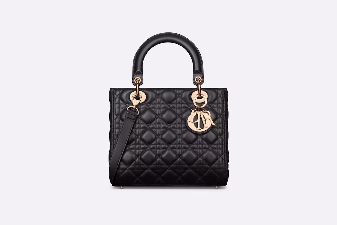 Iconic Bag From Dior